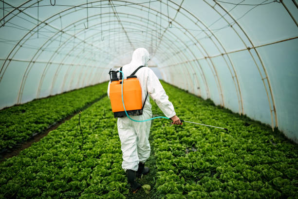 Pest Control for Restaurants in Eagar, AZ